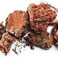Turmeric Rhizome Extract